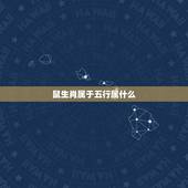 鼠生肖属于五行属什么，属老鼠的五行是什么？