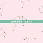 属相冬季中午11点半的马，上午十一点四十是什么时辰，属什么生肖？