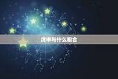 戊申与什么相合，戊申男和己卯女结婚