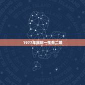 1977年属蛇一生有二婚，我是1977年属蛇女已经离婚什么时候会再婚