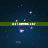 属猪人最好的婚配是哪个，什么属相是属猪的最佳婚配