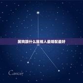 属狗跟什么属相人最婚配最好，男属狗的和什么属相最配