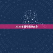 2022年属牛是什么命，牛属相后面是什么