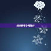 姻缘网哪个网站好，目前最好的婚恋网站是哪个？