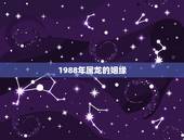 1988年属龙的姻缘，1988年属龙与属鸡相配吗