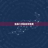 生辰八字起名字免费，免费生辰八字取名字