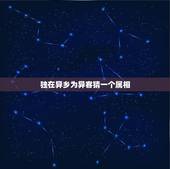 独在异乡为异客猜一个属相，独在异乡为异客的生肖