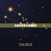 女属虎男属牛婚姻配吗，女属虎男属牛婚配可以过一辈子吗？