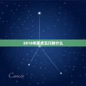 2010年属虎五行缺什么，生肖虎的五行属性