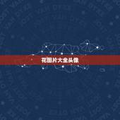 花图片大全头像，求花遮住脸的图片，头像，欧美图