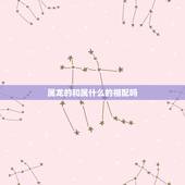 属龙的和属什么的相配吗，属龙和什么属相相冲