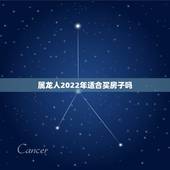 属龙人2022年适合买房子吗，属马人2022 能不能买房