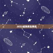 2022成熟男生网名，2021最新霸气成熟好听男网名