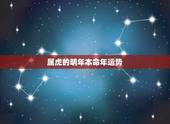 属虎的明年本命年运势，明年虎年儿子的本命年