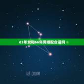 63年女和66年男婚配合适吗，66年的女马和63年的男兔相配吗？