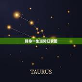 算命一生运势旺衰图，纳音五行算命看一生