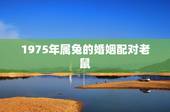 1975年属兔的婚姻配对老鼠，1996鼠男和1999兔女