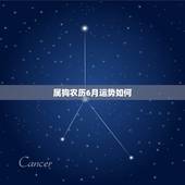 属狗农历6月运势如何，属狗男1994年农历6月16日出生的男人运势