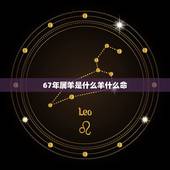 67年属羊是什么羊什么命，67年属羊的今年运势