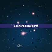 2022年生肖猪运势大全，2022年生肖鼠1984运势大全