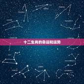 十二生肖的命运和运势，十二生肖每月运势与方向