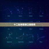 十二生肖歌顺口溜视频，十二生肖儿歌舞蹈视频