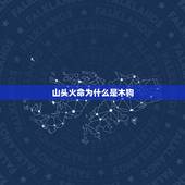 山头火命为什么是木狗，1994年出生的人到底是木狗还是火狗啊，有说木狗