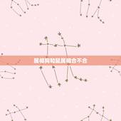 属相狗和鼠属相合不合，属狗的与属鼠合不合