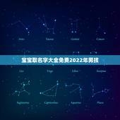 宝宝取名字大全免费2022年男孩，好听的男孩名字大全男孩