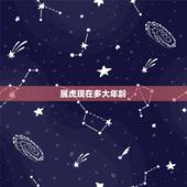 属虎现在多大年龄，属蛇多大年龄2022