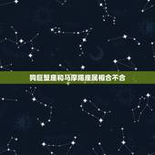 狗巨蟹座和马摩羯座属相合不合，82年属狗巨蟹座和90年属马摩羯座合适吗