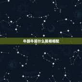 牛跟牛是什么属相相配，属相牛和狗好吗