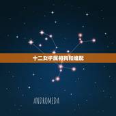 十二女子属相狗和谁配，狗与什么属相最配