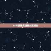 95年属猪男跟什么属相配，五行中虎和猪破合是什么意思