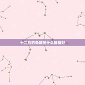 十二月的兔婚配什么属相好，属兔的和什么属相相配才好呢