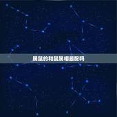 属鼠的和鼠属相最配吗，属鼠人和什么属相合作最好