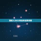 属蛇人2022年全年运势详解，生肖蛇未来十年运势