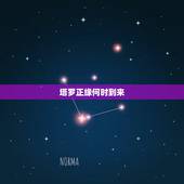 塔罗正缘何时到来，你的正缘何时才到，什么时候能结婚？