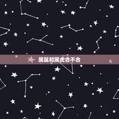 属鼠和属虎合不合，属鼠的和属虎的合不合？