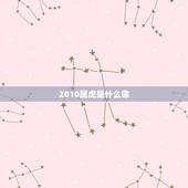 2010属虎是什么命，2010年属虎的五行是什么