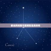 都说鸡和猴不能婚配是真的吗，属猴的和属鸡能结婚吗？为什么有人说两者相克