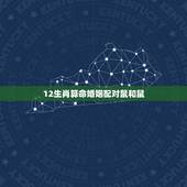 12生肖算命婚姻配对鼠和鼠，12生肖鼠婚姻匹配