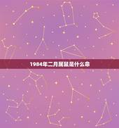 1984年二月属鼠是什么命，1984年阳历2月23日出生的人是什么命？