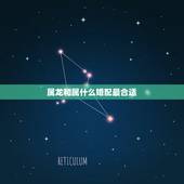 属龙和属什么婚配最合适，属龙和属虎的婚姻怎样
