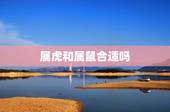 属虎和属鼠合适吗，属虎人一生佩戴什么好