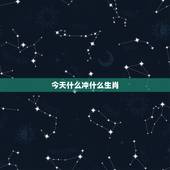 今天什么冲什么生肖，今天是什么冲什么生肖