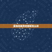 属兔和属虎的婚配怎么样，属兔和属虎的婚姻配吗