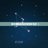 属牛的和属兔的婚姻好不好，属兔和什么属相最配
