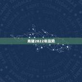 肖猪2022年运势，属猪人2021年每月运势