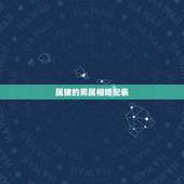 属猪的男属相婚配表，属猪的属相婚配表 揭秘和什么属相最配